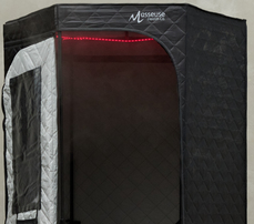Red light therapy strip